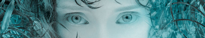 Spinning Kitty DVD Database