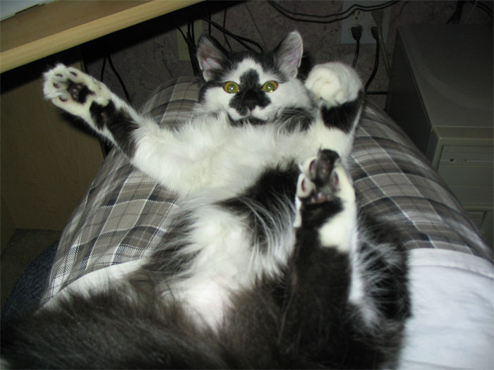 I'm Gonna Get You!